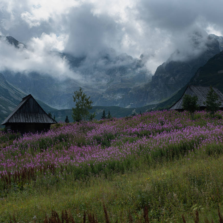 2019-zakopane-1